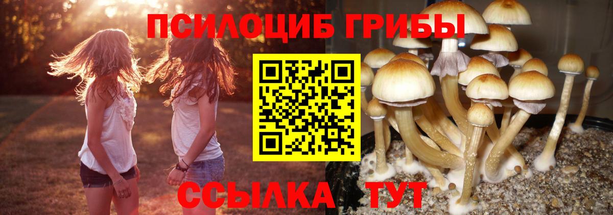 Кострома  Галлюциногенные грибы мухоморы  Вход с VPN 